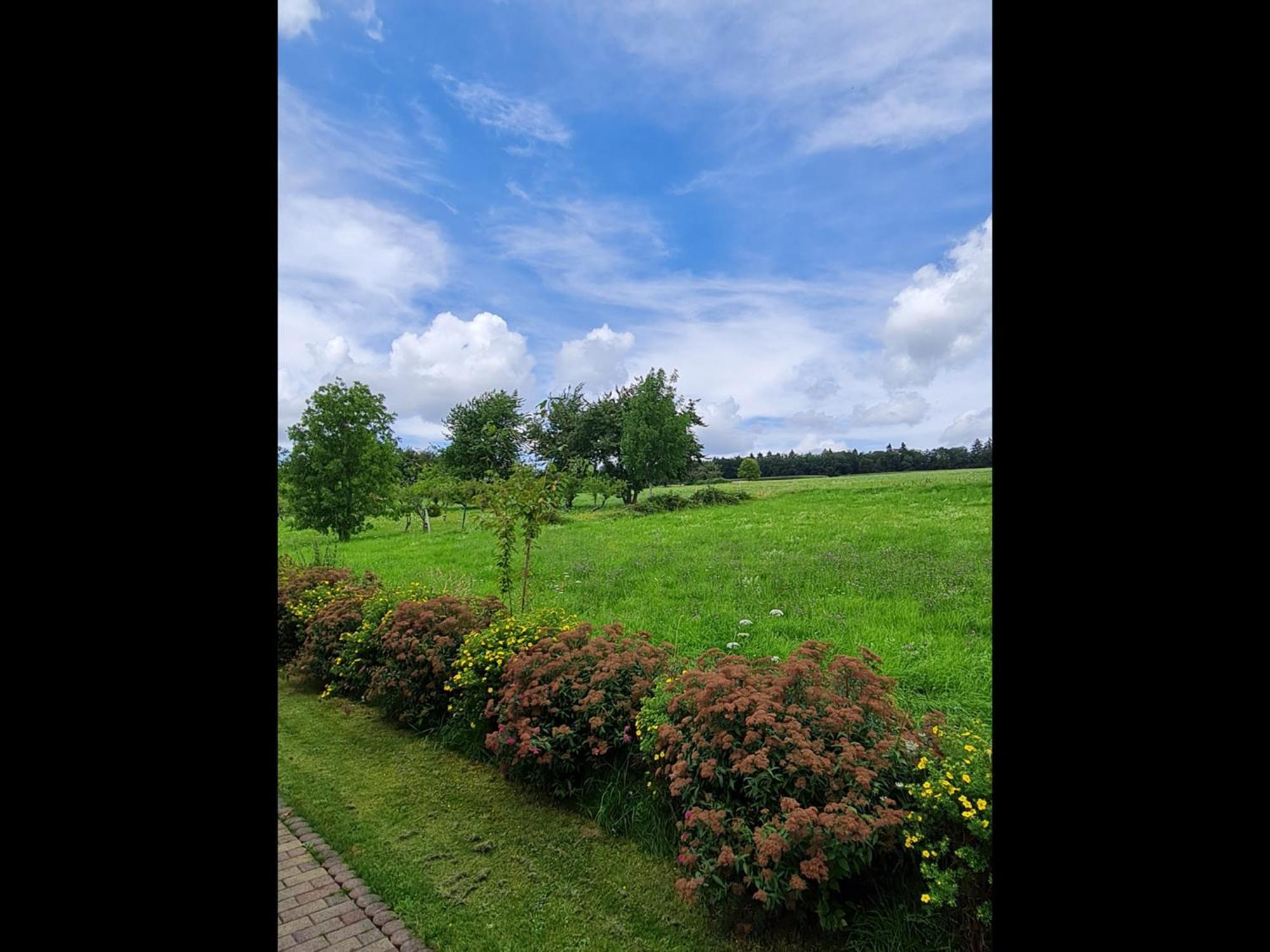Neu Ferienwohnung Odenwald Rimhorn Buitenkant foto