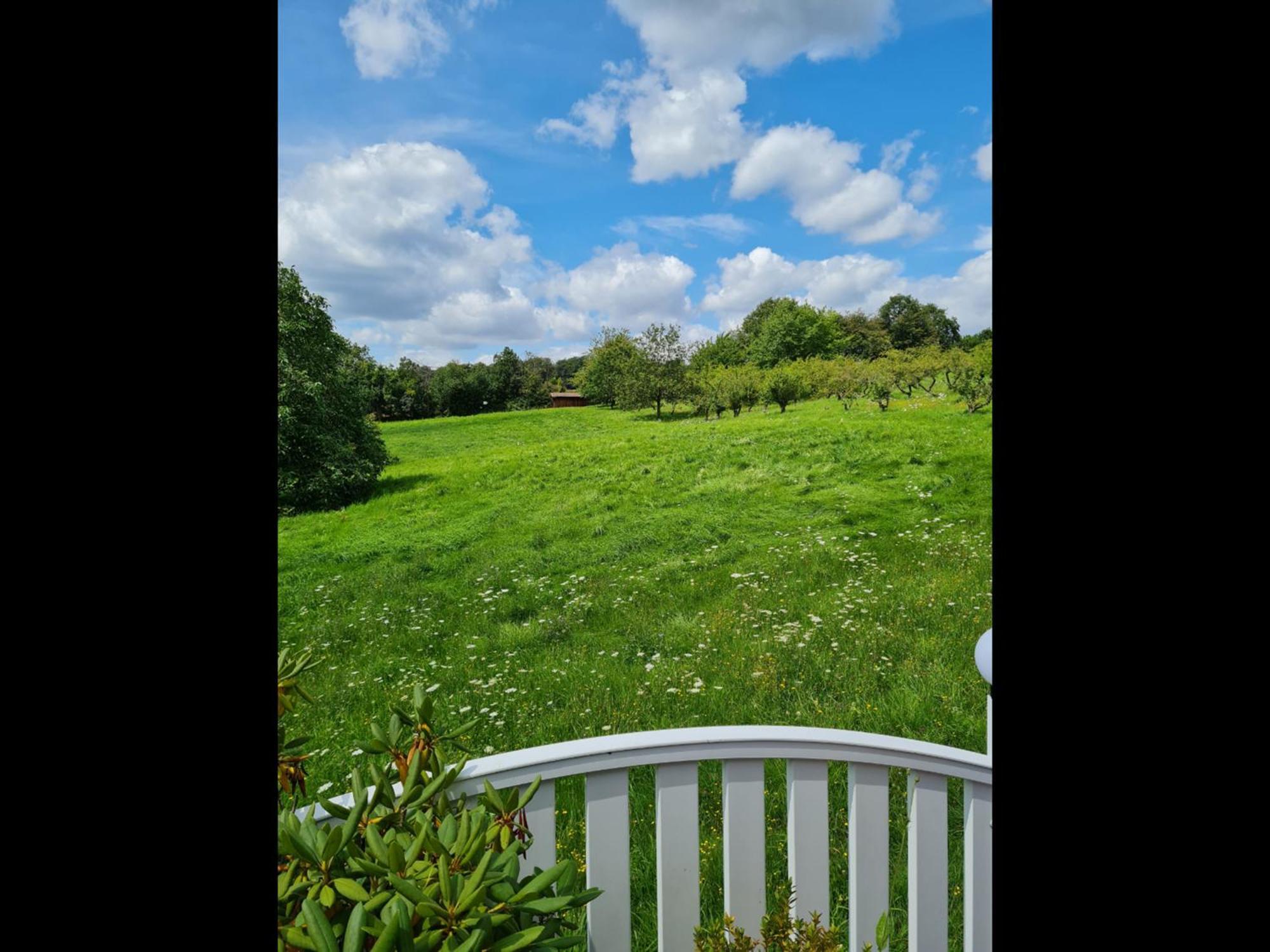 Neu Ferienwohnung Odenwald Rimhorn Buitenkant foto